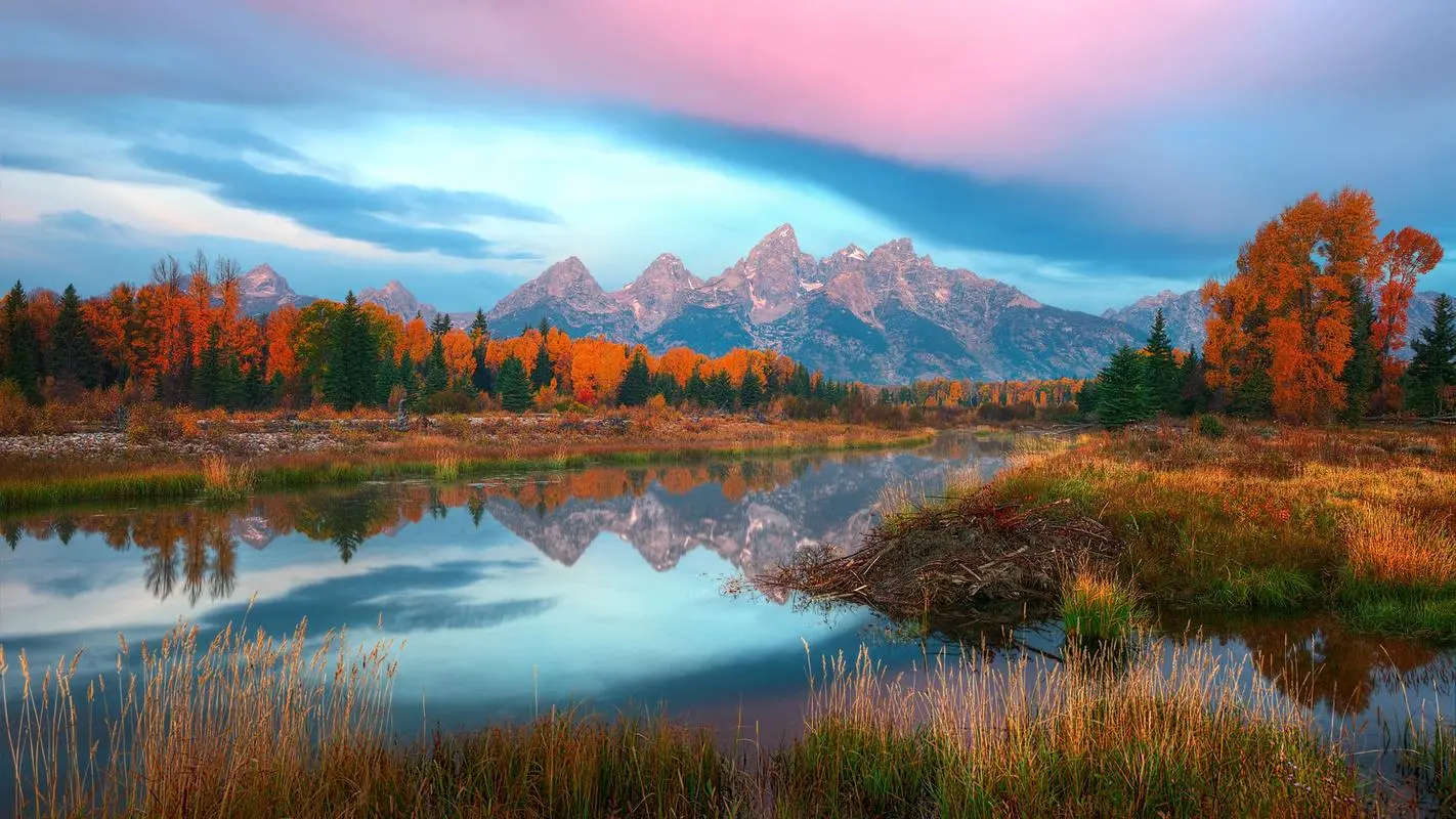 高端自动化智能